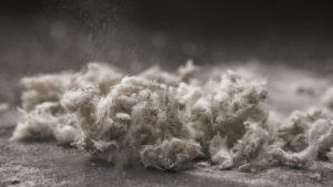 asbestos
